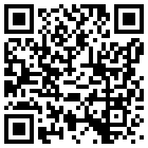 QR:2007年元宵文艺巡游活动